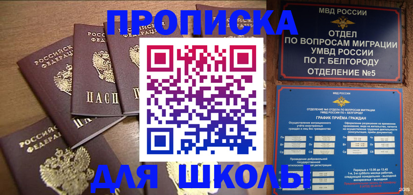 прописка гарантия в Мурманской области